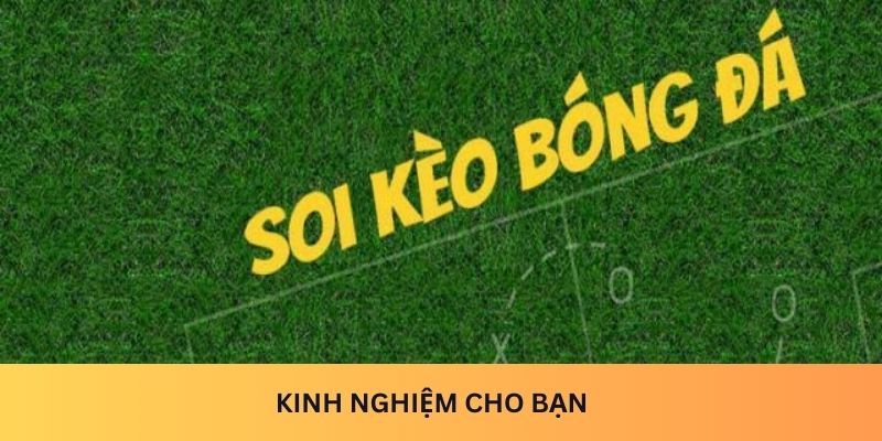 Kinh nghiệm cho bạn