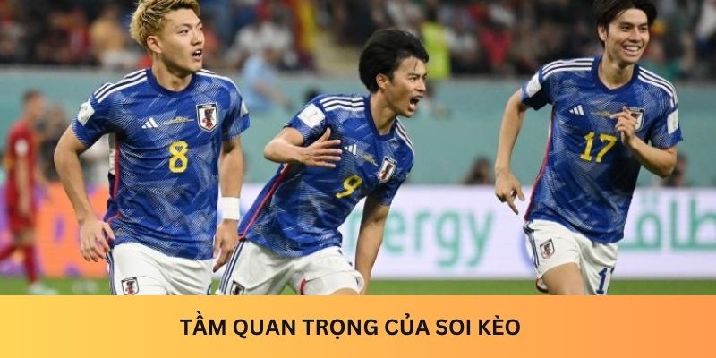 Tầm quan trọng của soi kèo