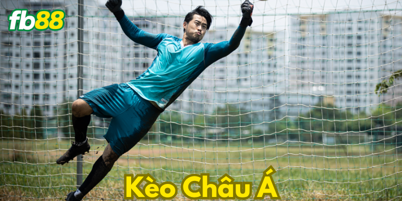 Tìm hiểu kèo châu á