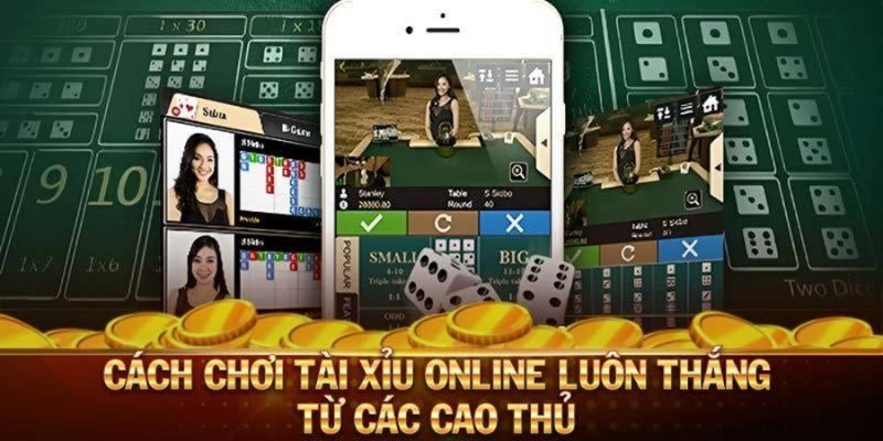 5+ cách chơi tài xỉu online luôn thắng húp bạc tỷ