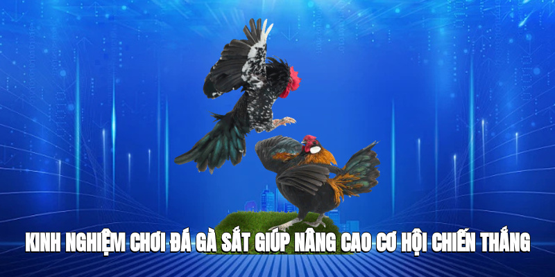 Kinh nghiệm xác định chính xác thần kê cựa sắt