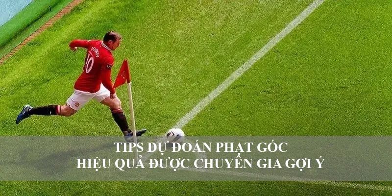 Kèo Phạt Góc: Danh Sách Các Loại Kèo Phổ Biến, Dễ Chơi
