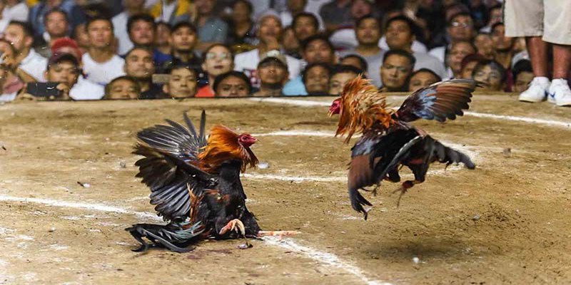 Quy định thời gian