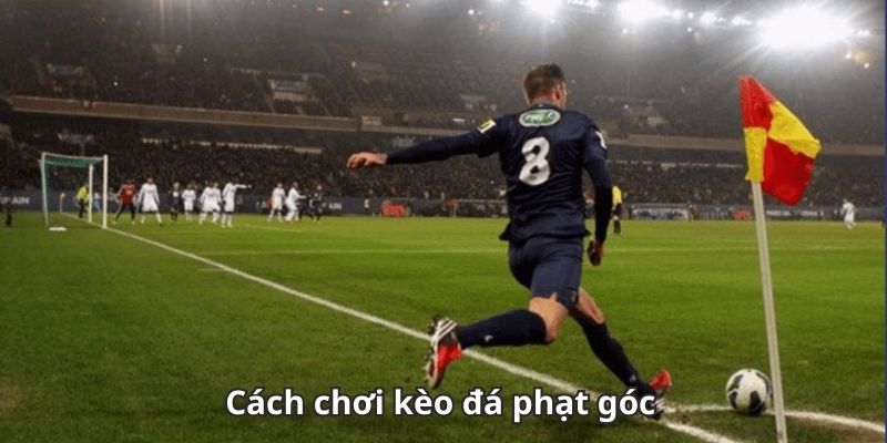 Chia sẻ về cách soi kèo phạt góc chuẩn nhất