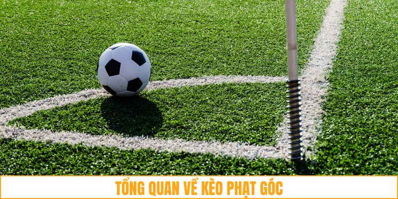Các loại hình cá cược kèo phạt góc thường thấy