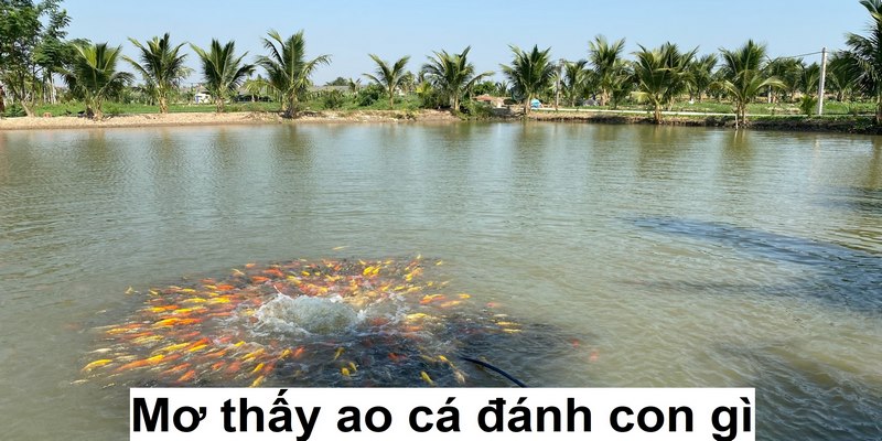 Giải mã giấc mơ thấy ao cả chi tiết