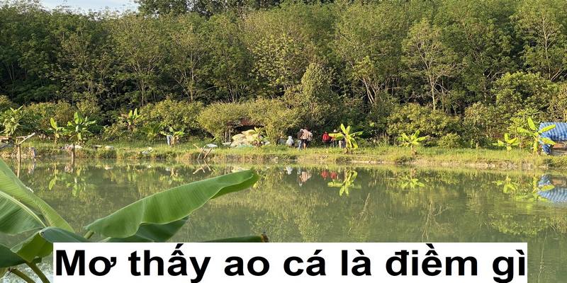 Giải Mã Mơ Thấy Ao Cá Có Phải Điềm Báo Xấu Không?