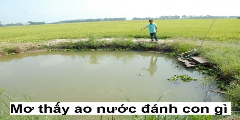 Giải mã chi tiết giấc mơ thấy ao nước