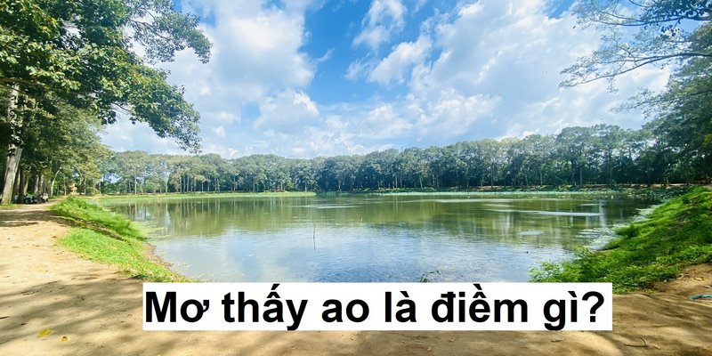 Mơ thấy ao nước là điềm báo tốt hay xấu?