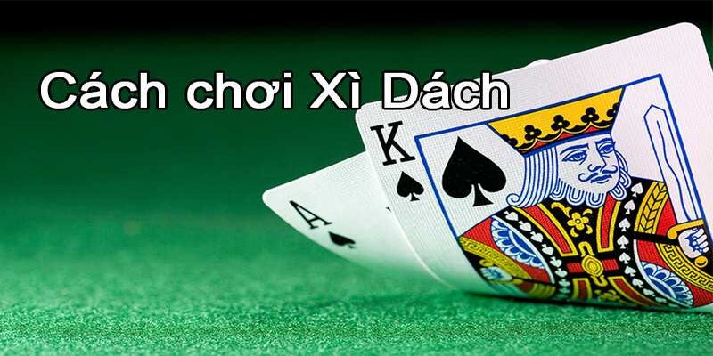 Hướng dẫn cách chơi bài Xì Dách trực tuyến cụ thể