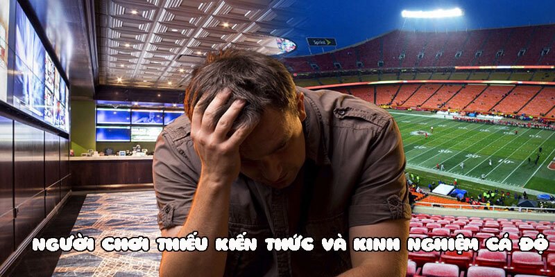 Một số lời khuyên hữu ích từ các cao thủ trong nghề