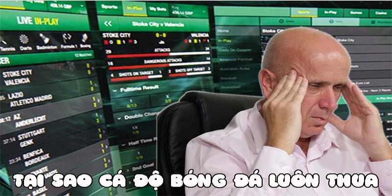 Chuyên gia phân tích lý do tại sao cá độ luôn thua