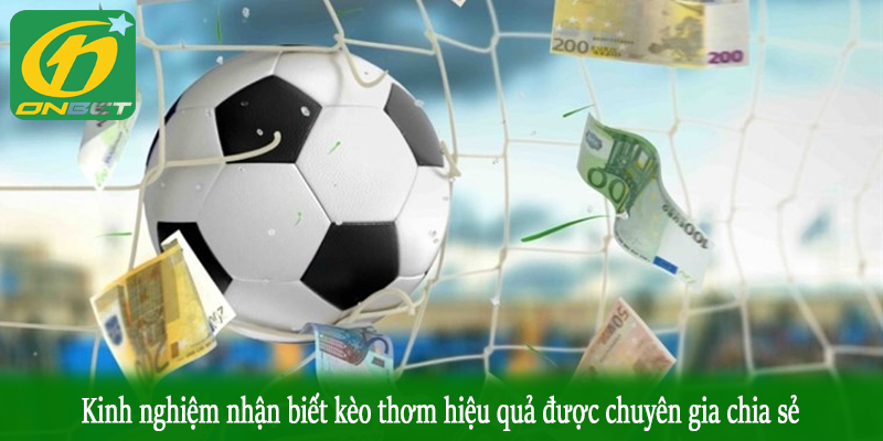 Kinh nghiệm nhận biết kèo thơm hiệu quả được chuyên gia chia sẻ