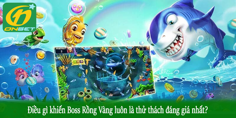 Điều gì khiến Boss Rồng Vàng luôn là thử thách đáng giá nhất?