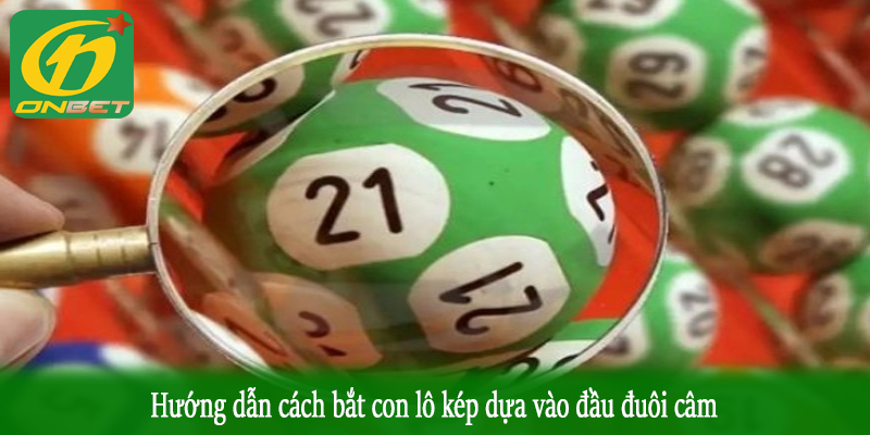 Hướng dẫn cách bắt con lô kép dựa vào đầu đuôi câm