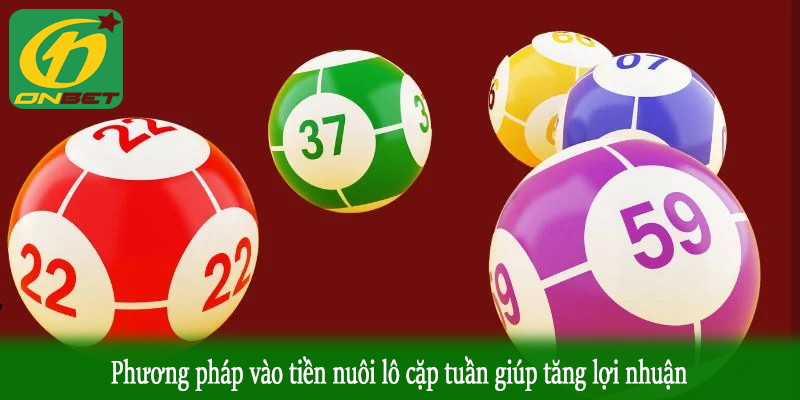 Phương pháp vào tiền nuôi lô cặp tuần giúp tăng lợi nhuận