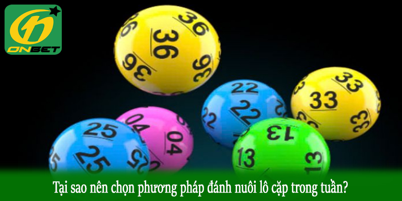 Tại sao nên chọn phương pháp đánh nuôi lô cặp trong tuần?