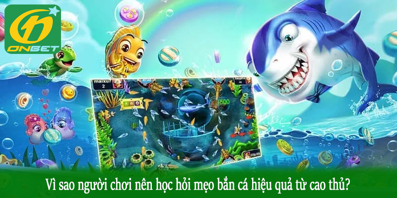 Vì sao người chơi nên học hỏi mẹo bắn cá hiệu quả từ cao thủ?