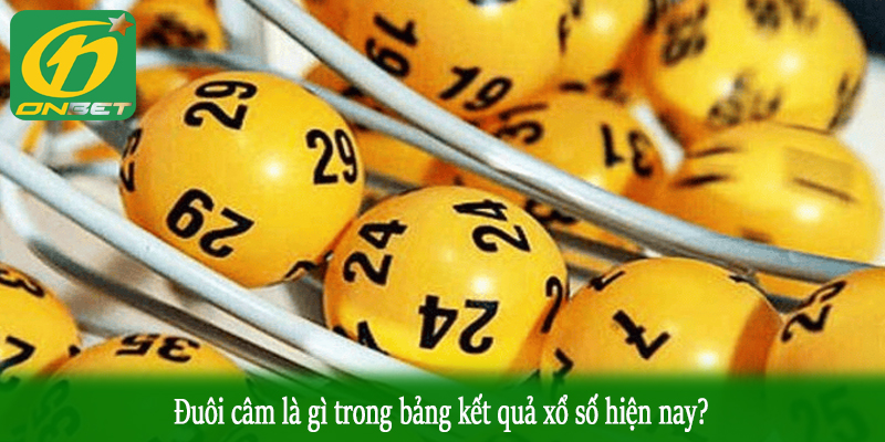 Đuôi câm là gì trong bảng kết quả xổ số hiện nay?