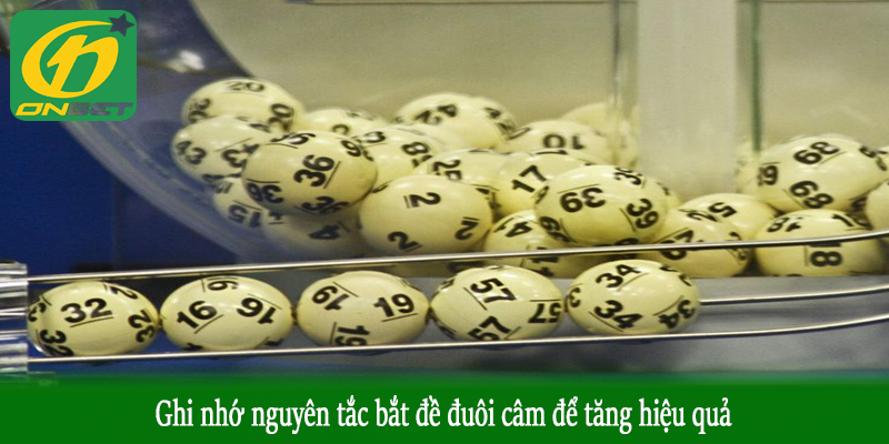 Ghi nhớ nguyên tắc bắt đề đuôi câm để tăng hiệu quả
