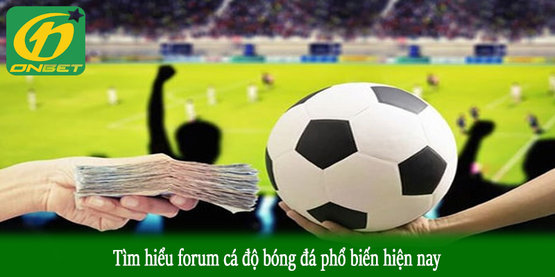Tìm hiểu forum cá độ bóng đá phổ biến hiện nay