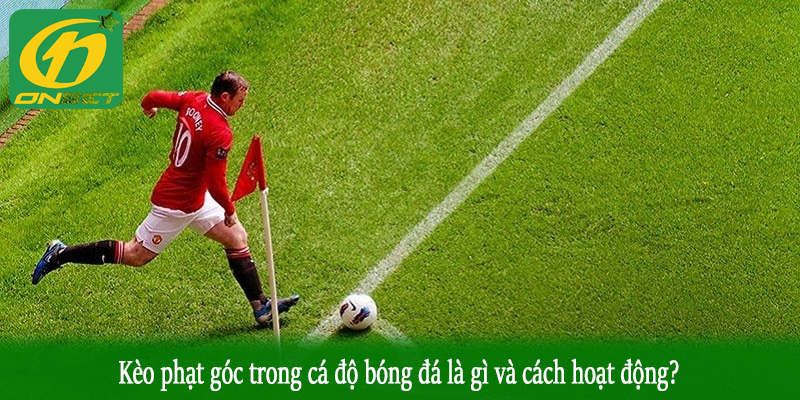 Kèo phạt góc trong cá độ bóng đá là gì và cách hoạt động?