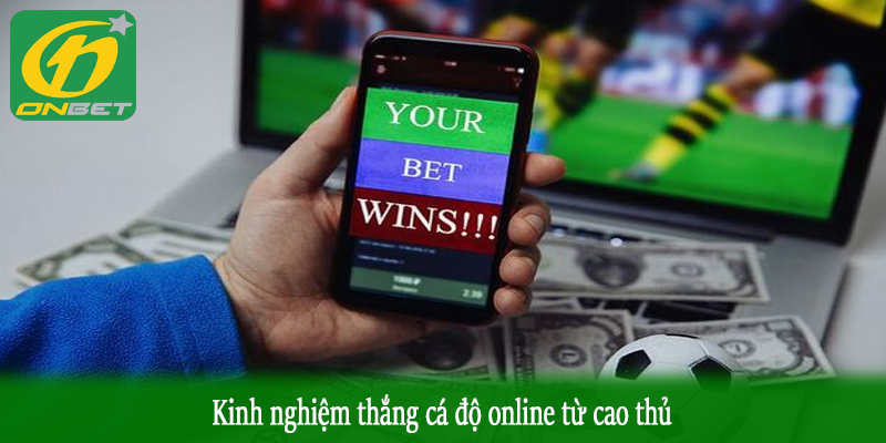 Kinh nghiệm thắng cá độ online từ cao thủ
