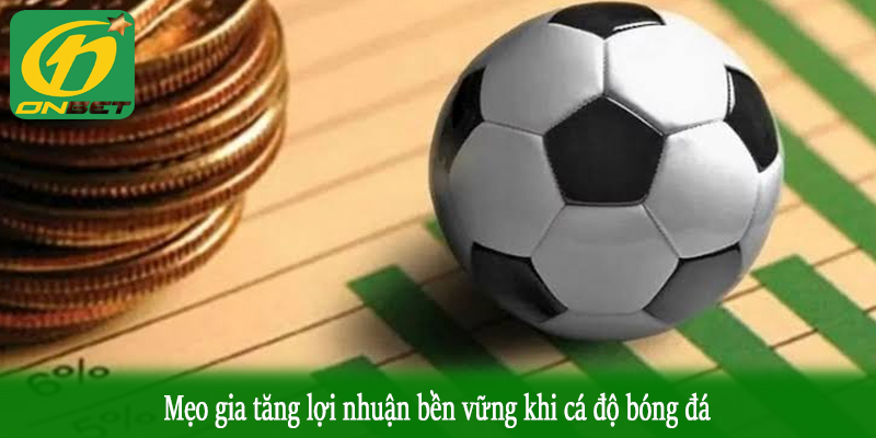 Mẹo gia tăng lợi nhuận bền vững khi cá độ bóng đá