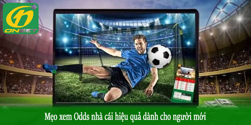 Mẹo xem Odds nhà cái hiệu quả dành cho người mới